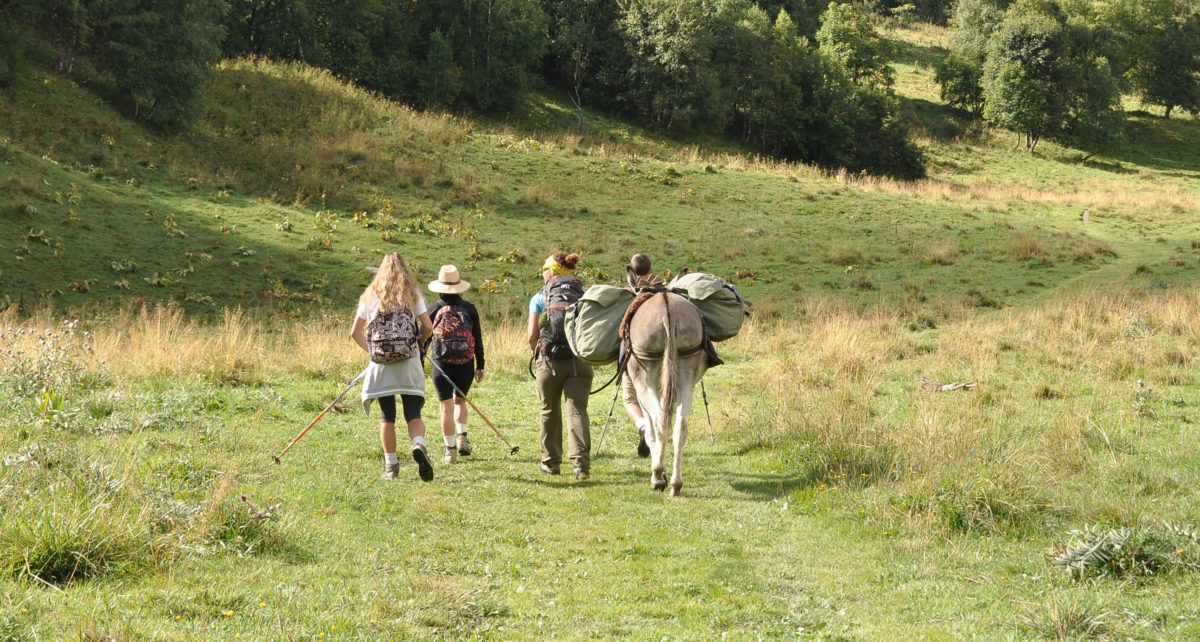 Le Bivouac « expert »