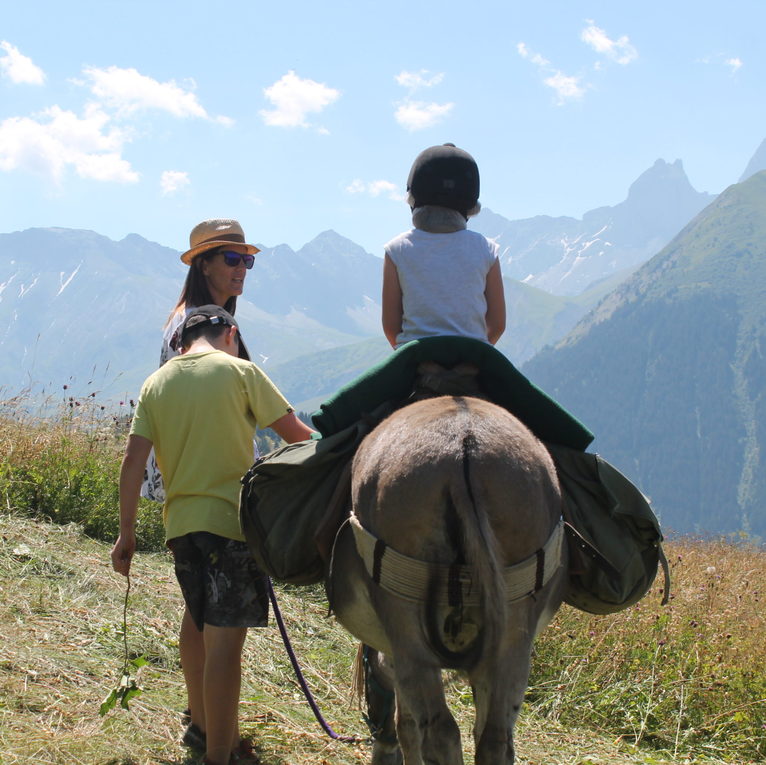 Ânes en montagne – Randonnées avec des ânes en Savoie