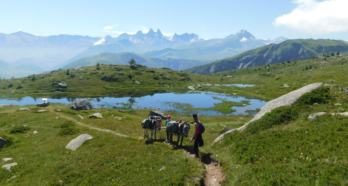 Le Bivouac « découverte »